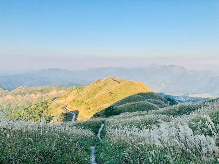 Bình Liêu được ví như “Sapa thu nhỏ của Quảng Ninh” với những cánh đồng lau trắng xóa khắp triền đồi