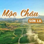 Kavo Travel – Công ty du lịch chuyên tour Mộc Châu 2 ngày 1 đêm uy tín