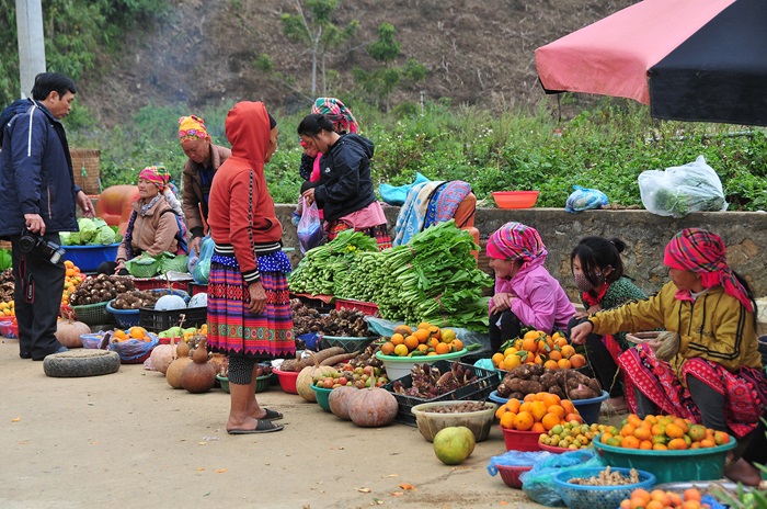 Lịch trình tour Mộc Châu của Kavo Travel đa dạng, linh hoạt