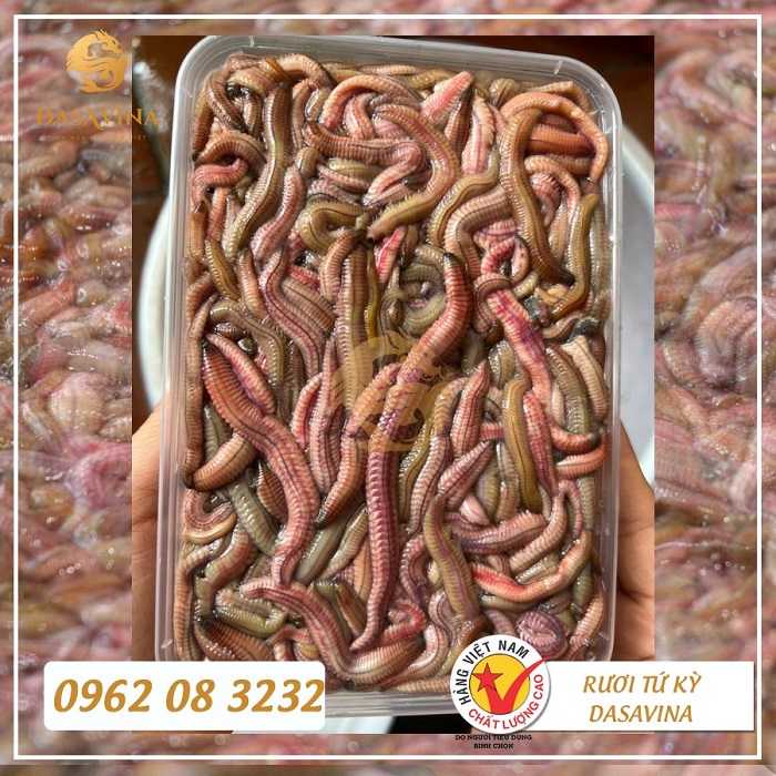 Rươi là vị thuốc quý của dân gian với giá trị dinh dưỡng tuyệt vời