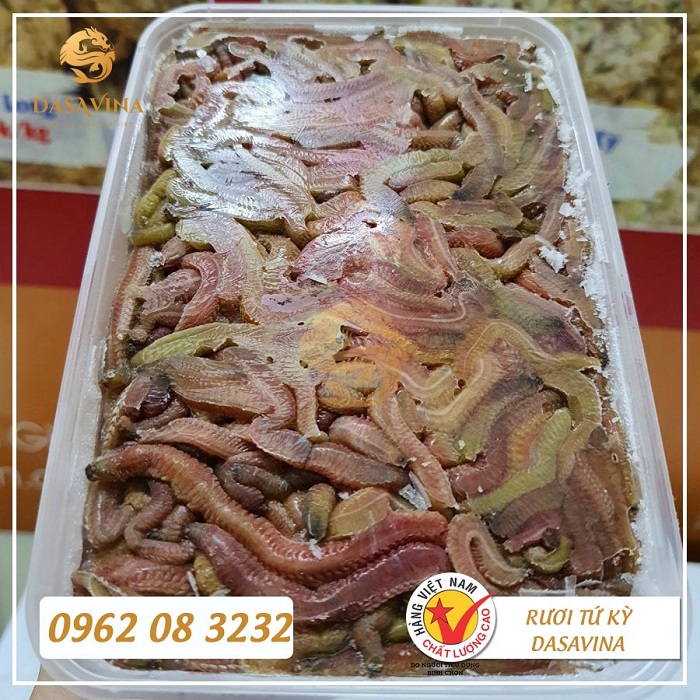 Rươi Tứ Kỳ cấp đông tại DASAVINA phục vụ thực khách quanh năm