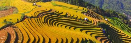 Ruộng bậc thang Mù Cang Chải