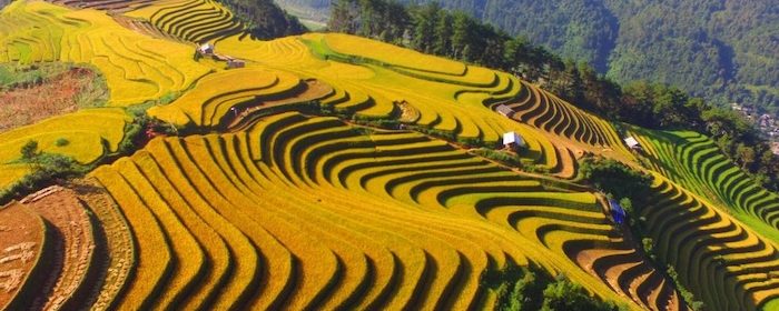 Ruộng bậc thang Mù Cang Chải