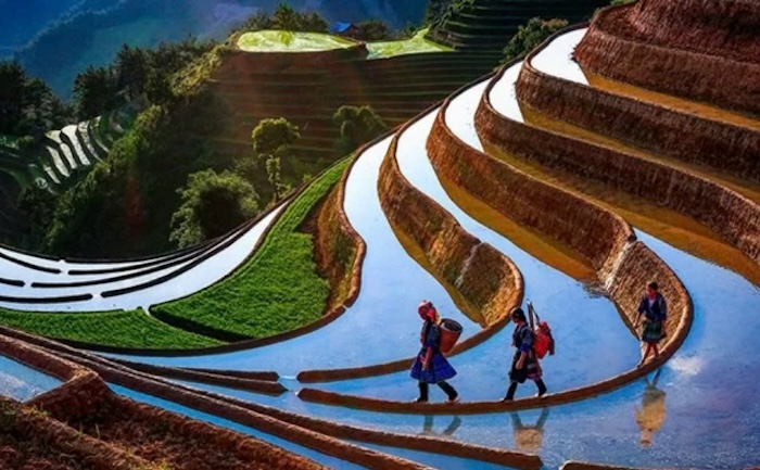 Ruộng bậc thang Mù Cang Chải mùa nước đổ