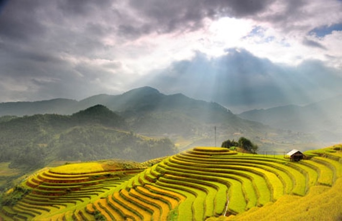 Mù Cang Chải - Tuyệt tác ruộng bậc thang Tây Bắc