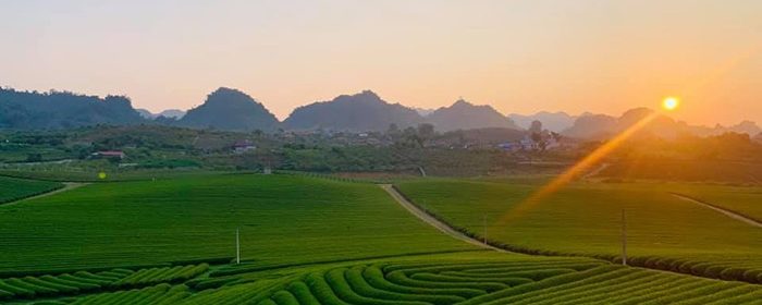 Du lịch Mộc Châu 1 ngày bao nhiêu tiền