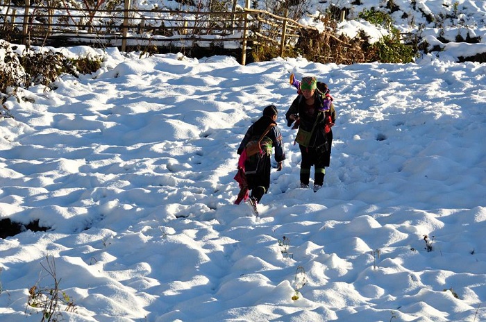 KAVO TRAVEL sở hữu nhiều điểm nổi bật trong thị trường du lịch