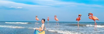 Lựa chọn công ty tổ chức tour là người bạn đồng hành để có một chuyến du lịch Hải Tiến an toàn, chất lượng và nhiều trải nghiệm đáng nhớ.