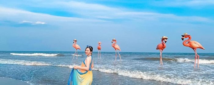 Lựa chọn công ty tổ chức tour là người bạn đồng hành để có một chuyến du lịch Hải Tiến an toàn, chất lượng và nhiều trải nghiệm đáng nhớ.